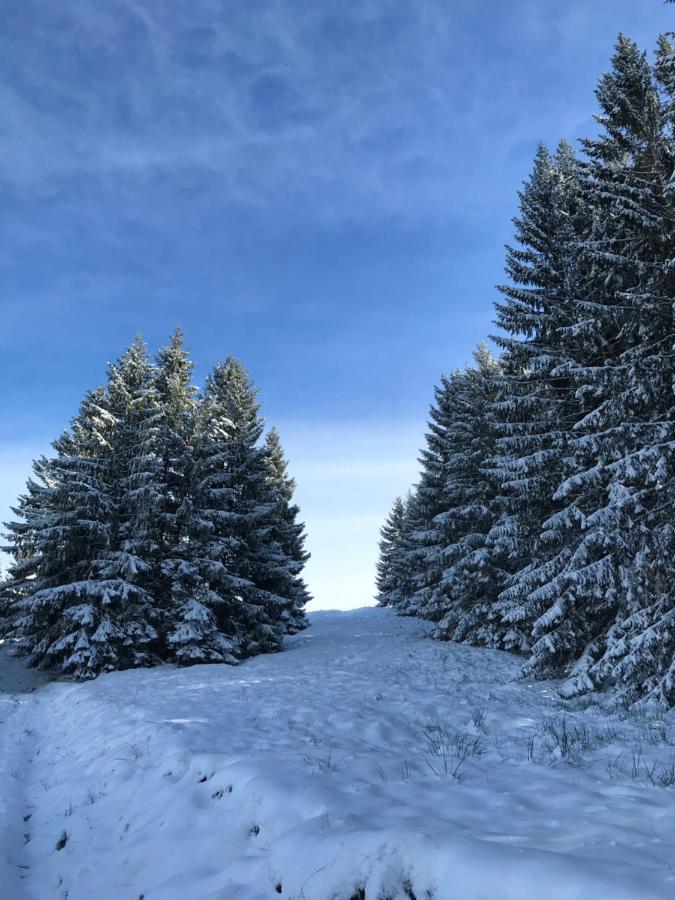 Ferienwohnung Morgentau Am Rande Der Wildnis Sibratsgfäll Eksteriør billede