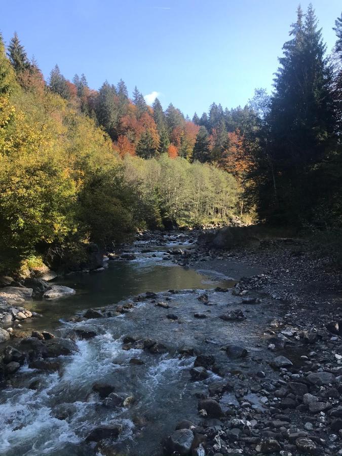 Ferienwohnung Morgentau Am Rande Der Wildnis Sibratsgfäll Eksteriør billede